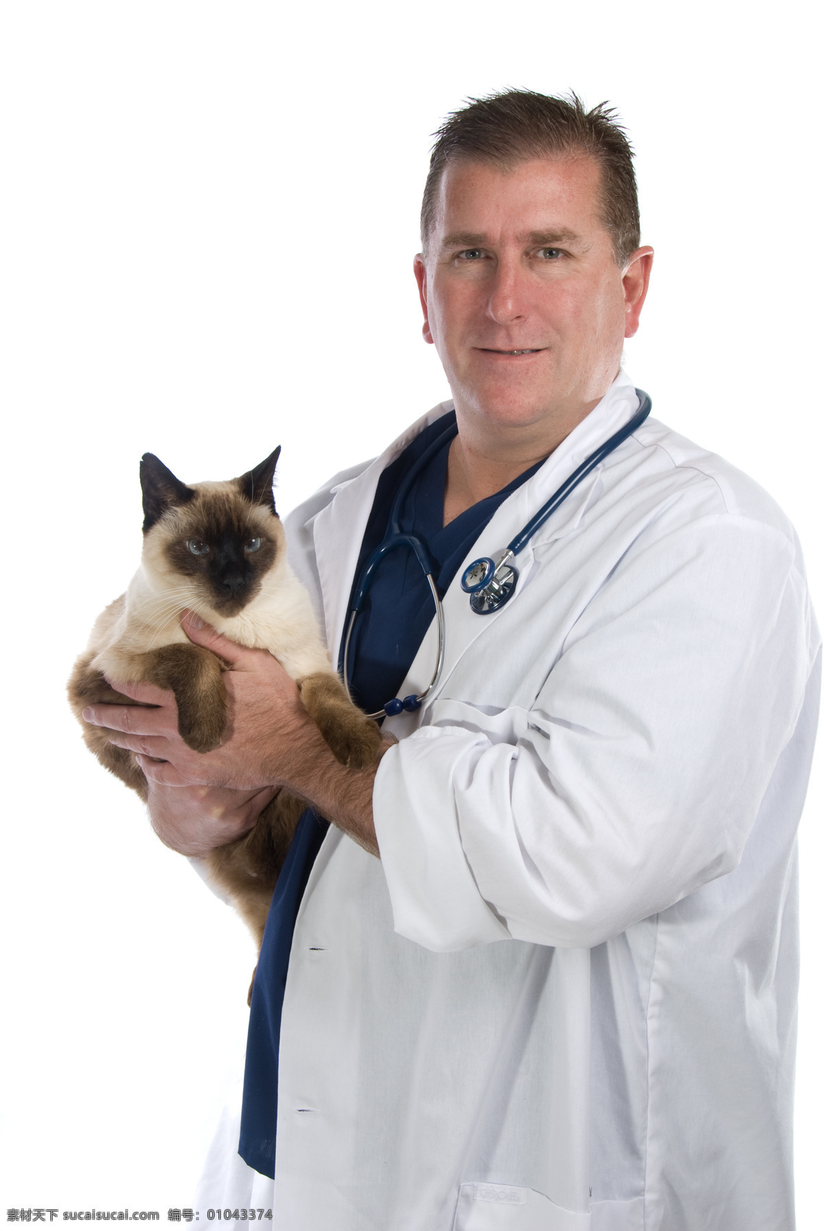 可爱 小猫 可爱小猫图片 小猫图片 猫咪 猫 cats 小猫图片大全 小动物 宠物 猫摄影图片 生物世界 高清图片 猫咪图片