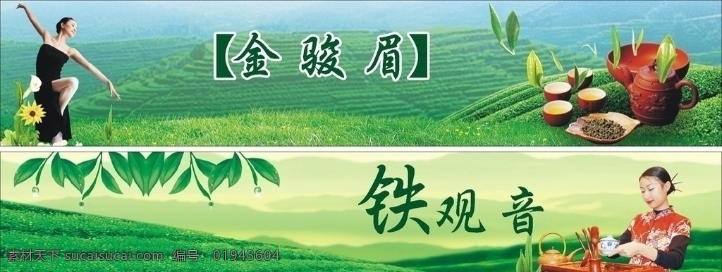 茶园 茶叶 茶香 舞 茶艺 茶壶 金骏眉 铁观音 茶杯 美女 茶山 山 茶具 平面设计 矢量