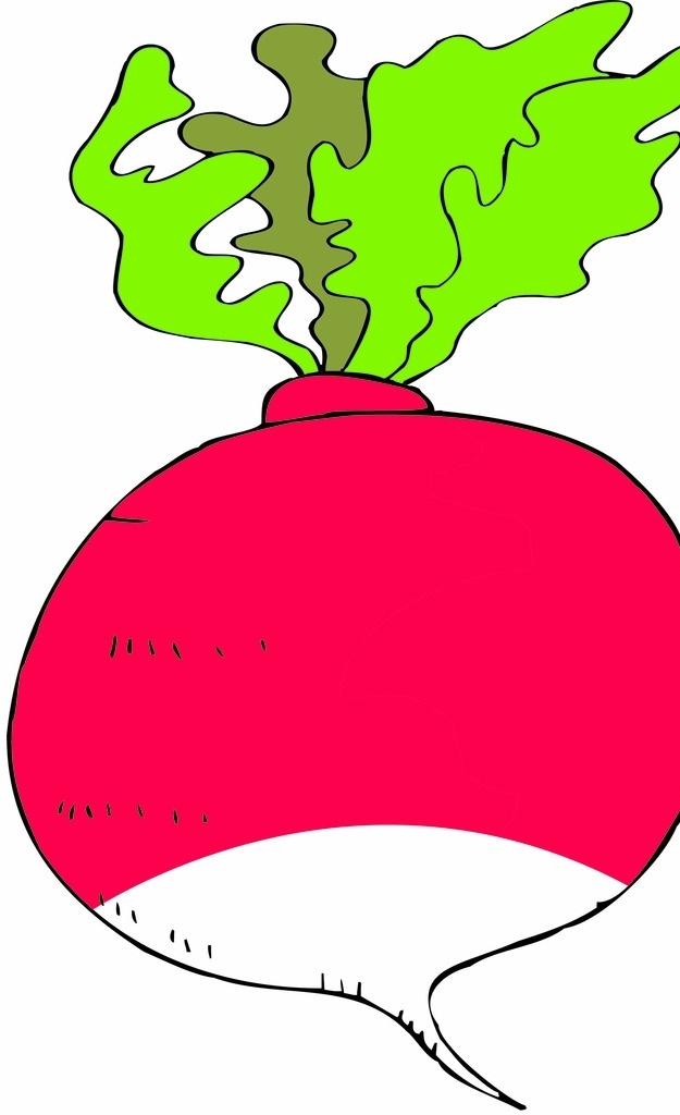 萝卜 矢量萝卜 卡通萝卜 红萝卜 白萝卜 分层