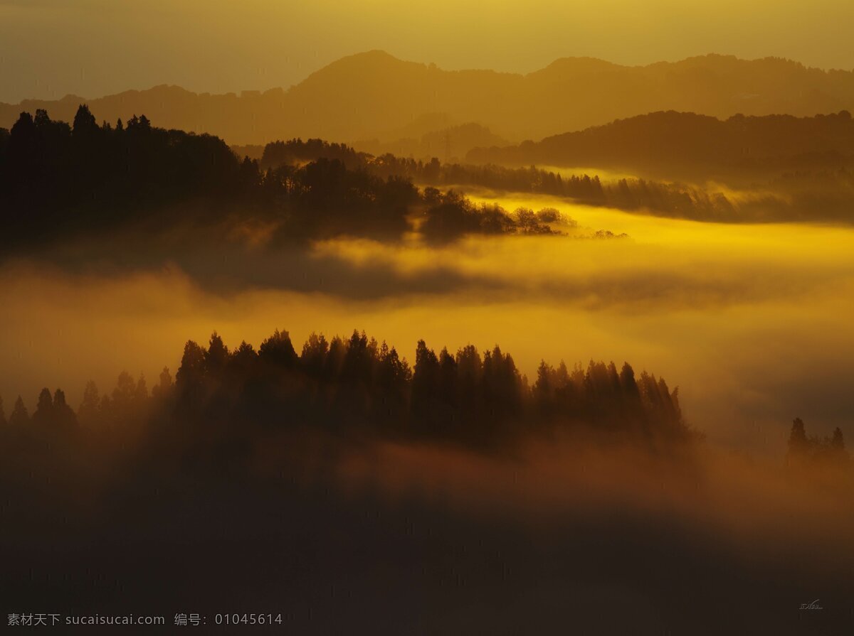 雾山 大雾 浓雾 雾 山涧 山 晨曦 早晨 清晨 自然景观 山水风景