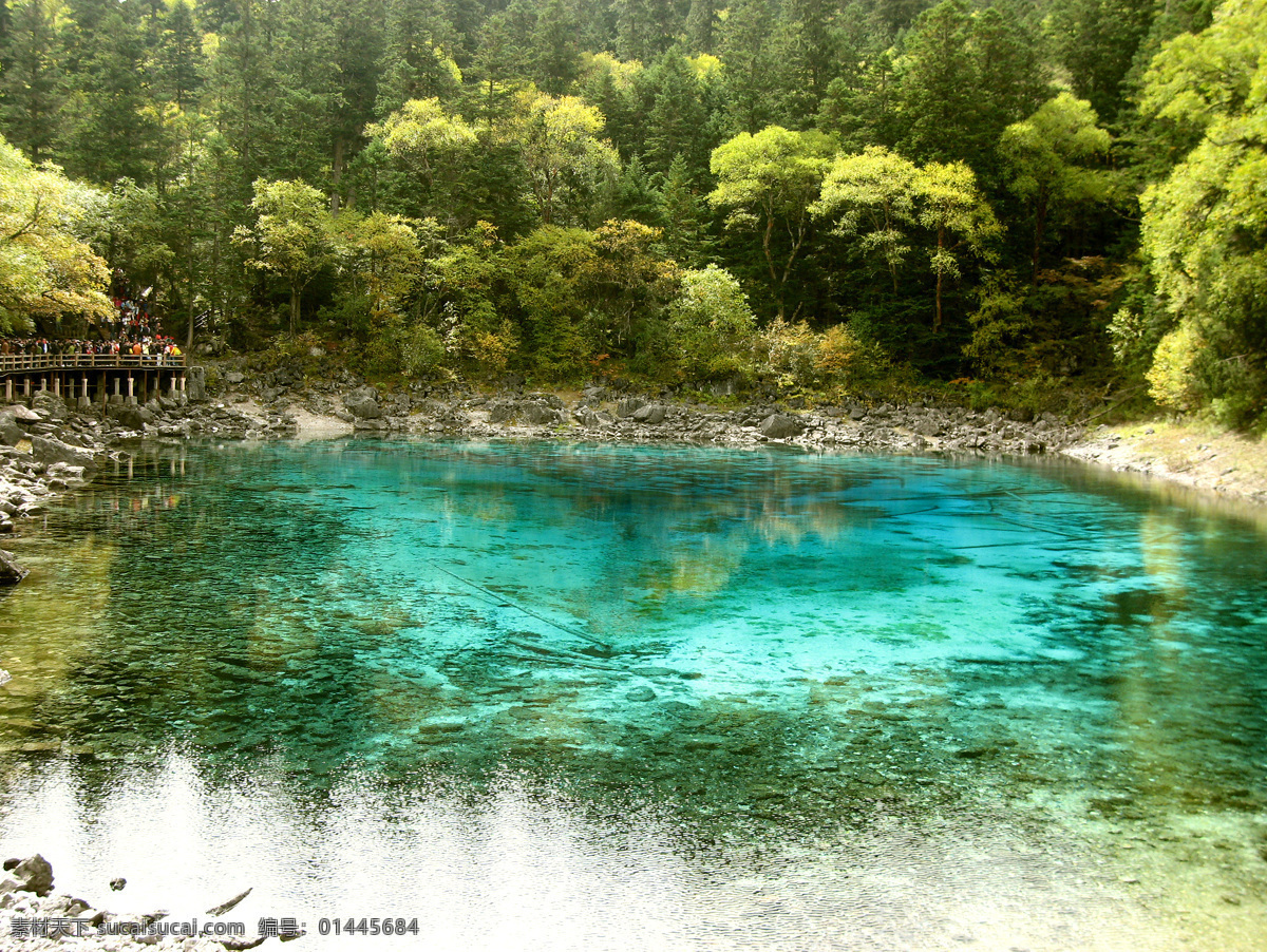 九寨沟图片 宁静 山泉 山水风景 树林 水景 自然景观 九寨沟 风情 五 花海 景观 碧绿的湖水 旅游观光 清澈湖水 五花海 山林湖泊 旅游景观 五彩水面 美丽湖水 风景 生活 旅游餐饮