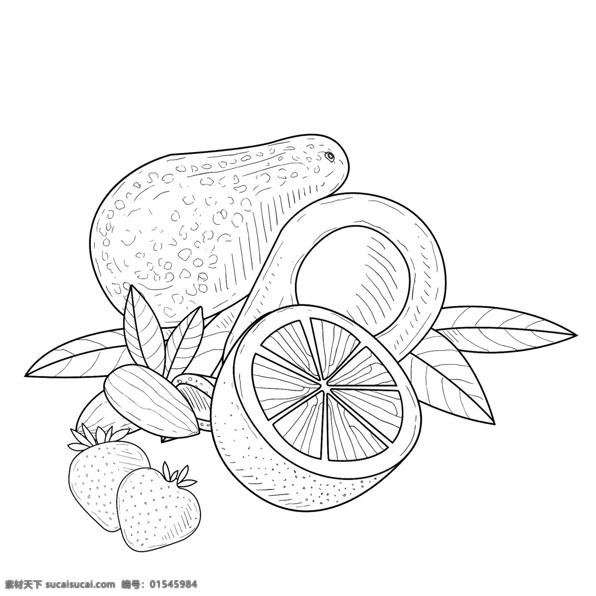 线描 食物 水果 设计素材 手绘 稿 黑白线描食物 美食 手绘美味 线描食物 线描水果 矢量水果 简约线稿