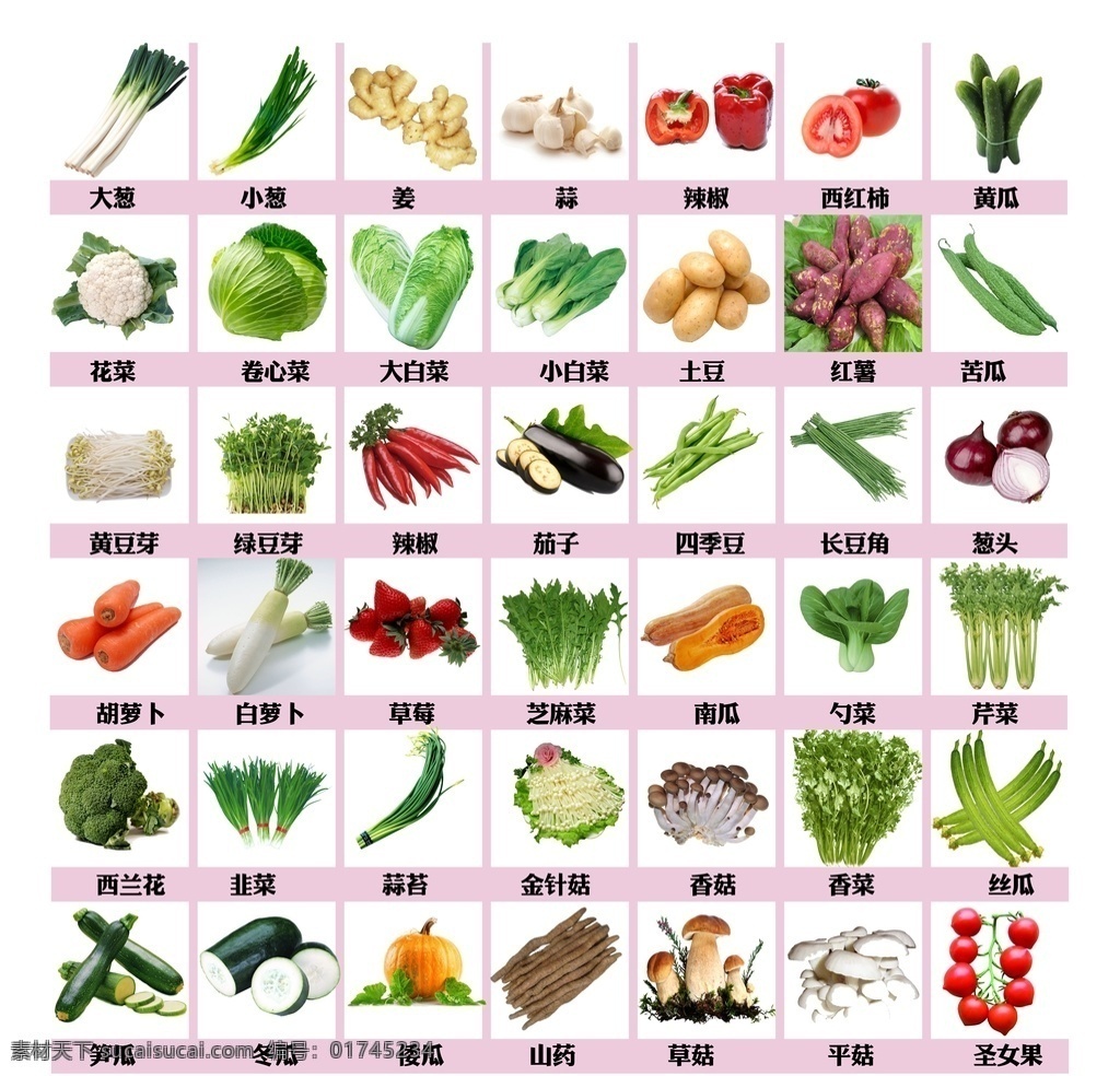 蔬菜素材 蔬菜 蔬菜展板 蔬菜海报 蔬菜文化 蔬菜挂画 蔬菜饮食 蔬菜营养 蔬菜超市 蔬菜市场 蔬菜广告 新鲜蔬菜 绿色蔬菜 蔬菜模板 蔬菜图片