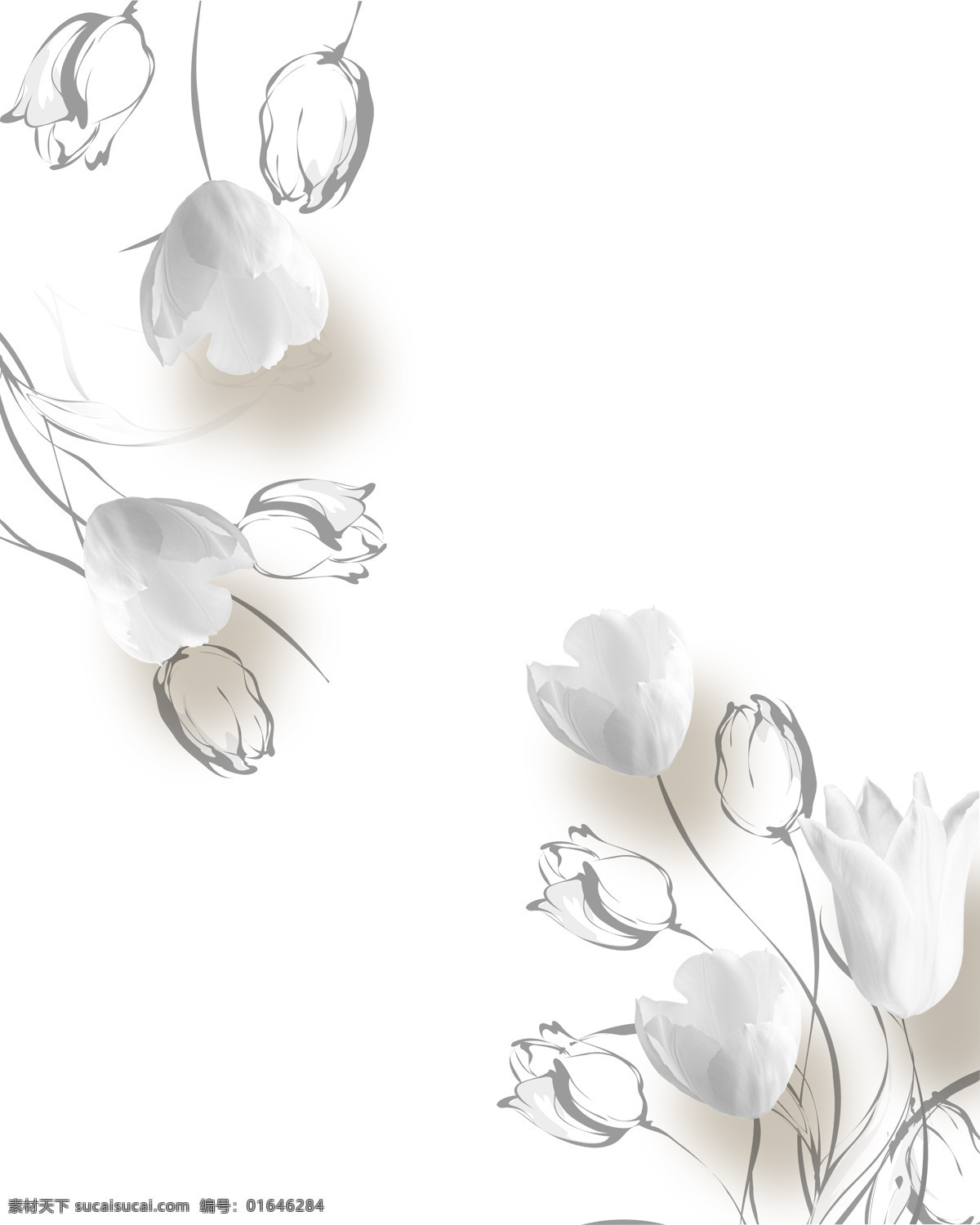 3d 浮雕 郁金香 立体 浮雕郁金香 郁金香花纹 玫瑰花纹 抽象花朵 共享移门图案