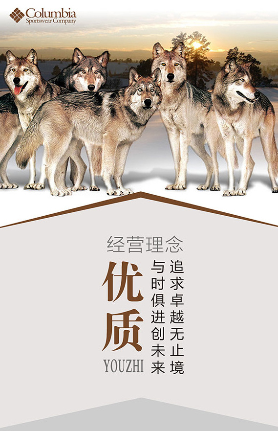 企业经营理念 经营理念 优质 企业 文化海报设计 白色