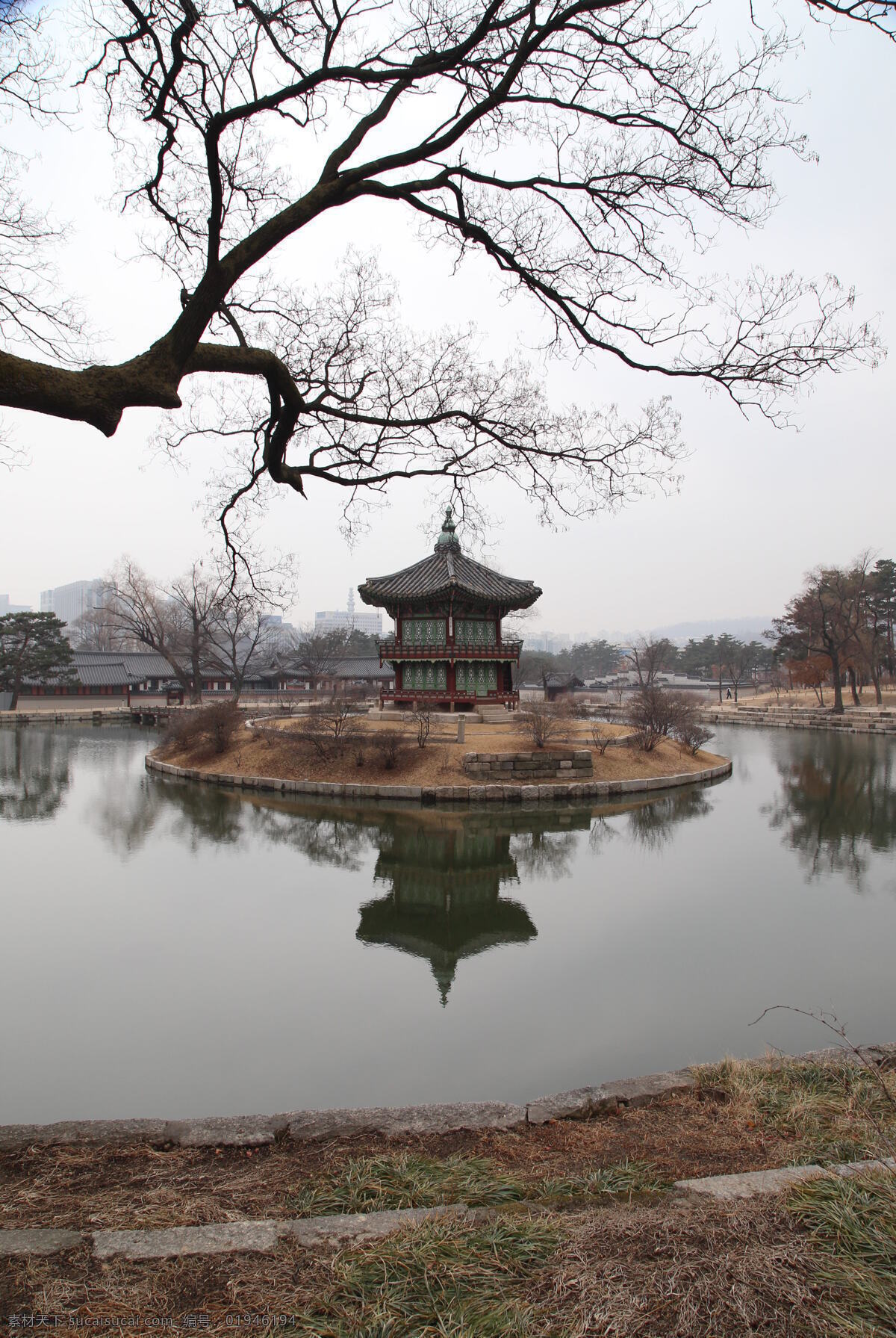 唯美 风景 风光 旅行 自然 韩国 大韩民国 韩国美景 济州岛 魅力济州岛 济州岛美景 济州景区 旅游摄影 国外旅游