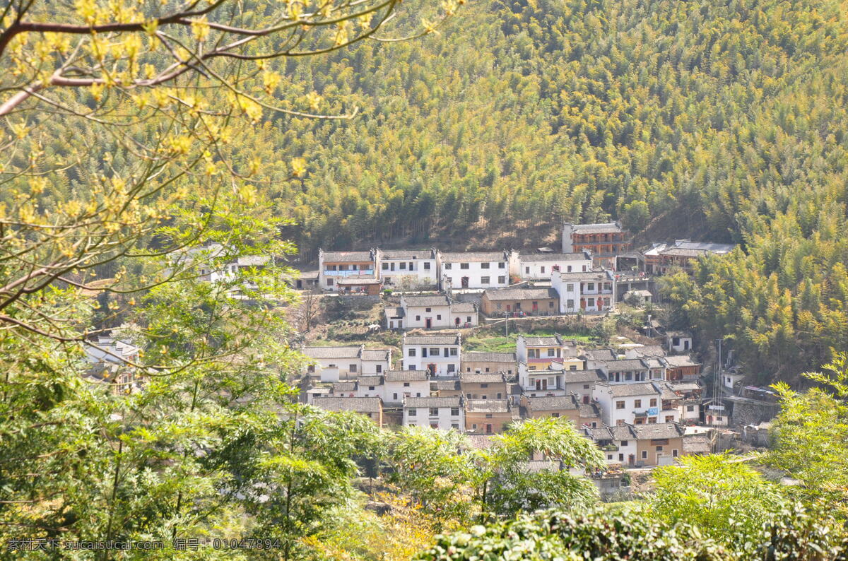 竹海 人家 房屋 黄山 建筑 建筑景观 绿树 山村 竹海人家 自然景观 矢量图 日常生活