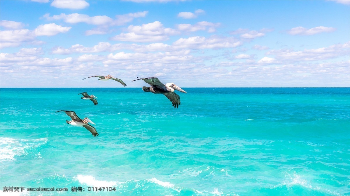 波澜壮阔海洋 唯美 天空 清新 海洋 自然风光 波澜壮阔 大海 风景 自然景观 山水风景