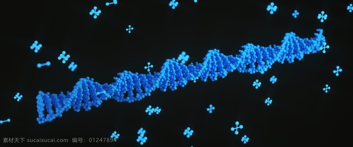 c4d 医疗 主题 蓝色 dna 序列 海报 背景 科学 科技 科研 生物 研究 分子 细胞 banner