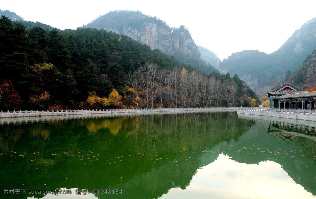 龙泉 国家森林公园 国家森林 公园 山 水 风景 山水风景 自然景观