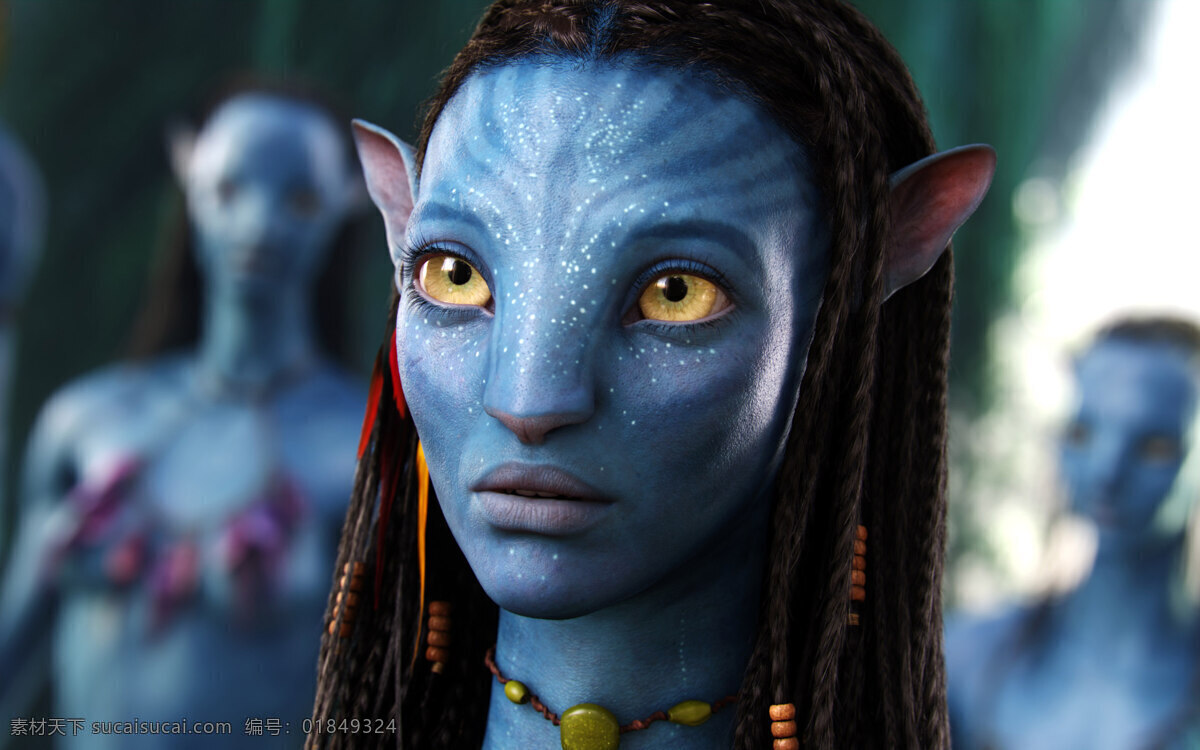 avatar 阿凡 达 女主角 3d 科幻 电影壁纸