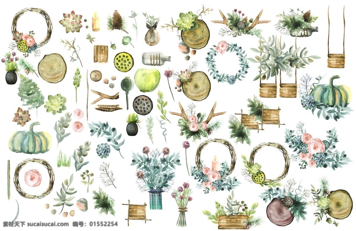 种类 多样 植物 花环 花草 源文件 花朵 花束 绿叶 南瓜 装饰图案