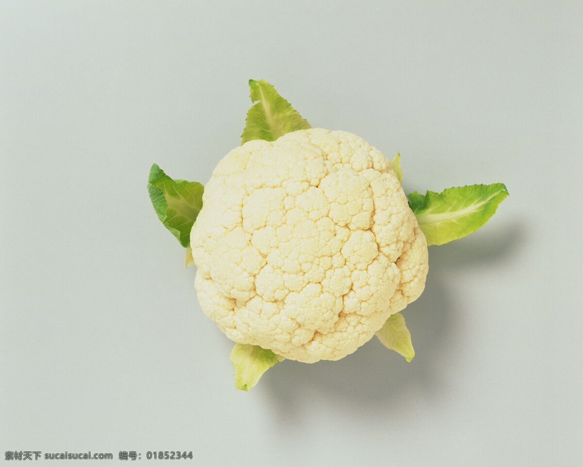 餐饮美食 花菜 青菜 生物世界 食物原料 蔬菜 花椰菜 野菜 椰菜 西兰花 菜叶 健康蔬菜 新鲜蔬菜 高清蔬菜图 食物写真 高清蔬菜 风景 生活 旅游餐饮