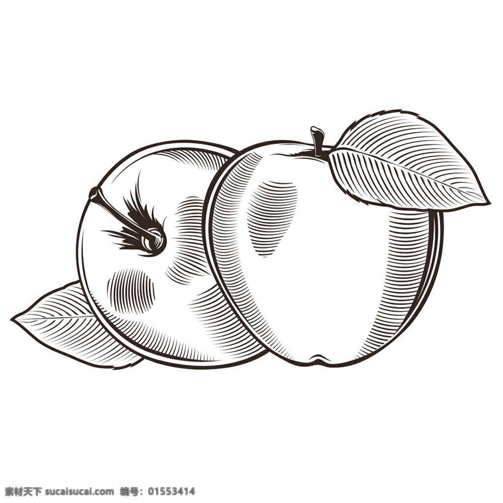苹果素描插画 卡通 可爱 素材免费下载 矢量 插画 苹果 素描 水果