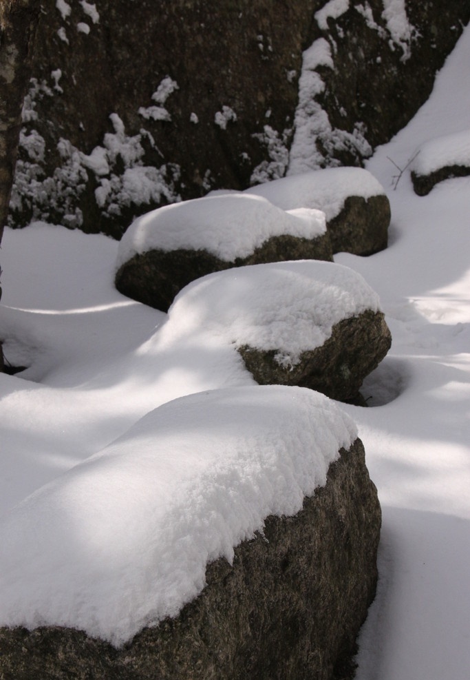 冬之黄山 石 黄山 冬景 雪景 冬日 积雪 石头 国内旅游 旅游摄影