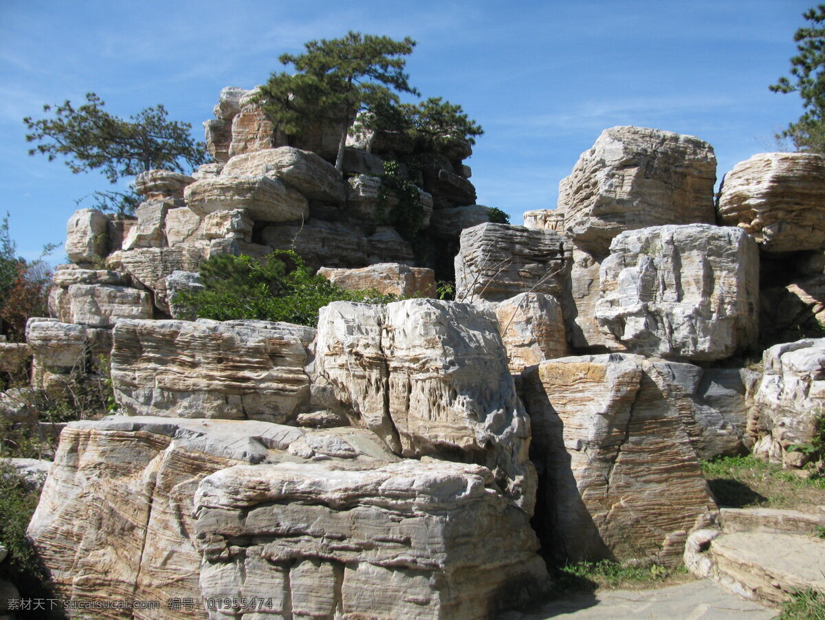 山石 假山 景观石 园林绿化 园林 园林景观 装饰画 绿化景观 树木 松树 景观山石 建筑园林 园林建筑