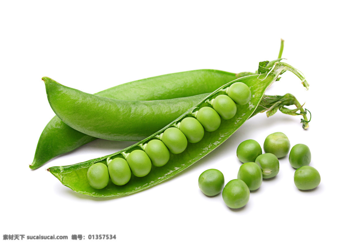 青豆 绿豆 小青豆 小绿豆 豌月豆 豆荚 豆角 蔬菜 蔬菜图片 豌豆图片 菜 生物世界