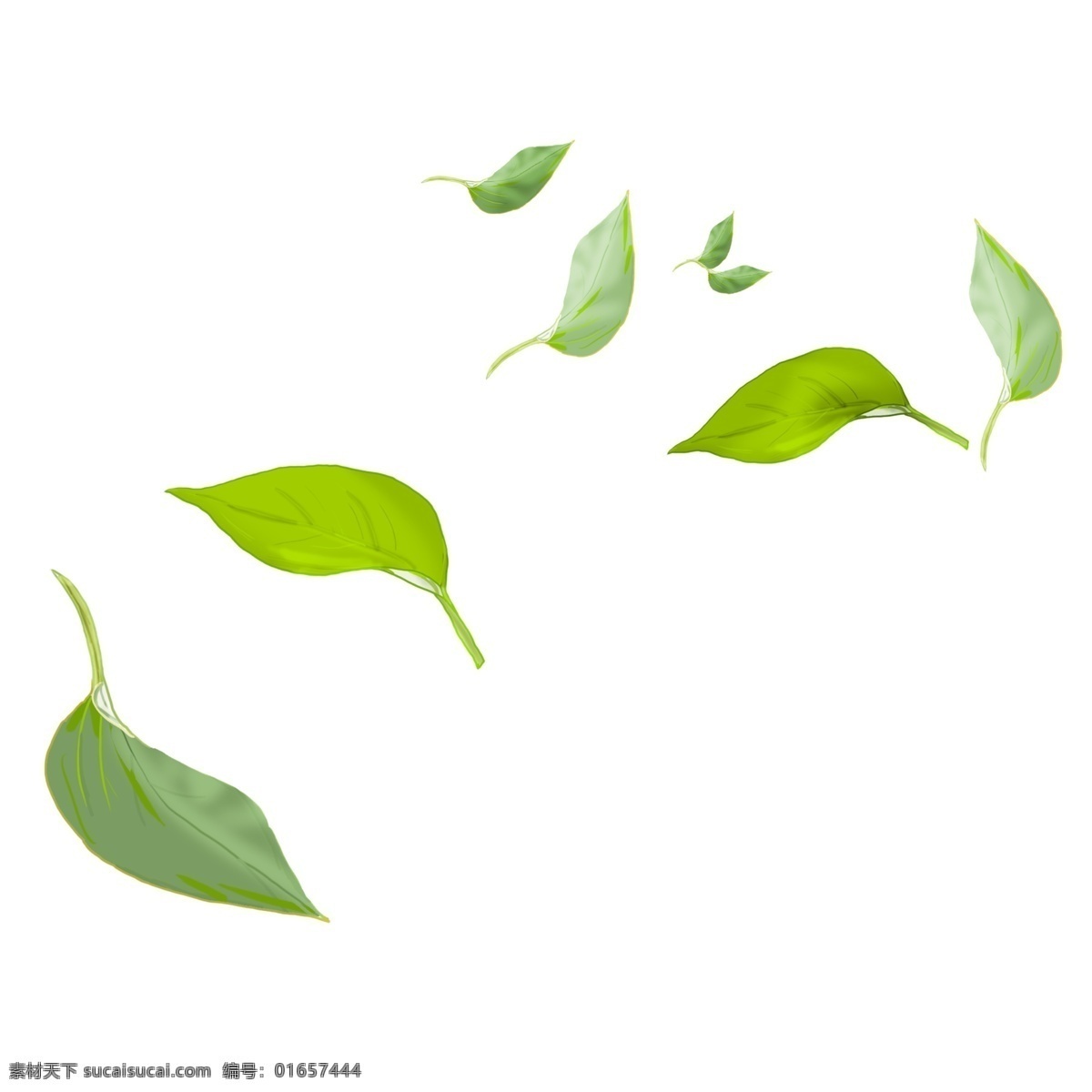 唯美 卡通 绿色 树叶 插画 绿叶插画 卡通植物插画 创意植物 落叶 绿色的叶子 植物插画 漂浮的落叶