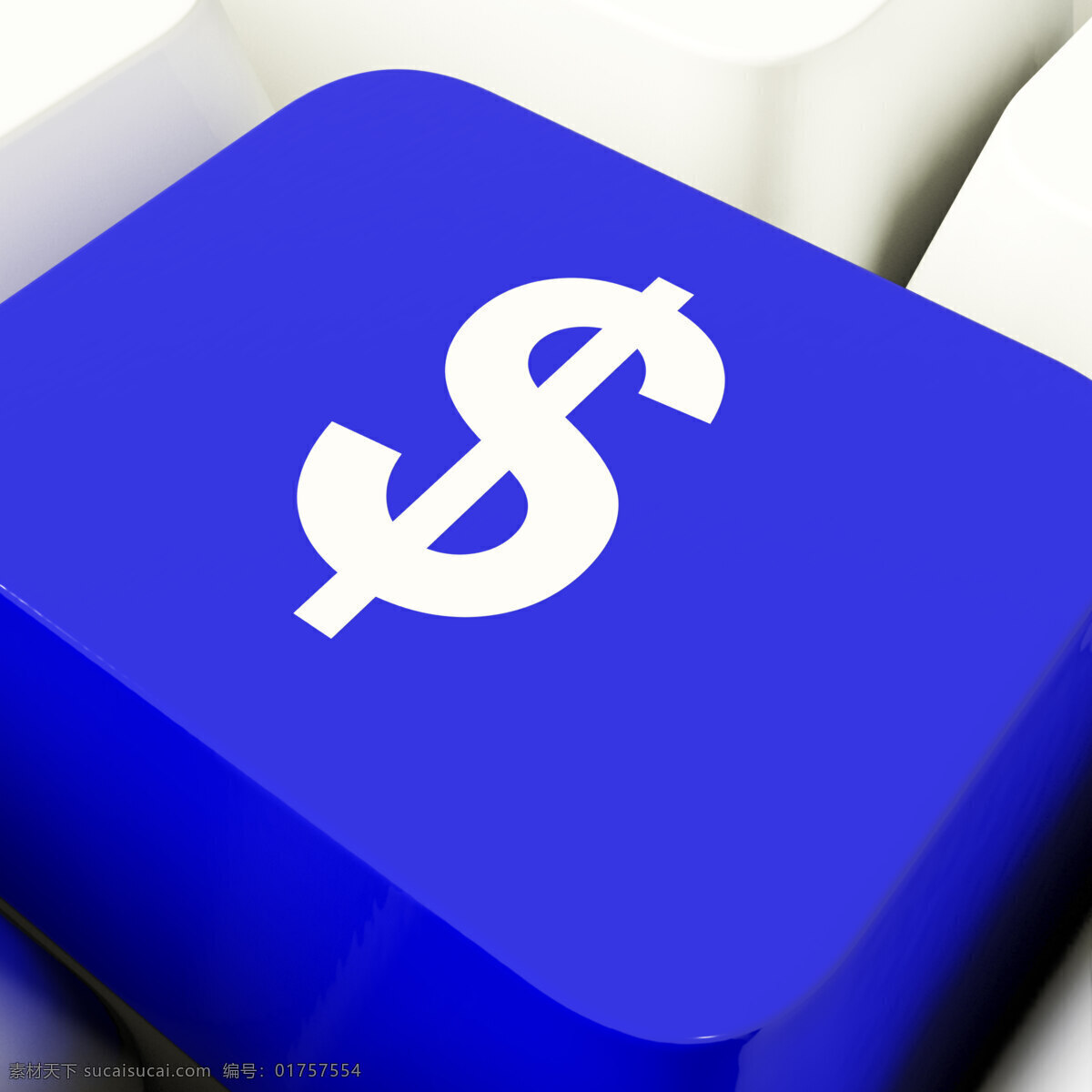 美元 符号 中 电脑 钥匙 蓝色 显示 资金 投资 商务金融