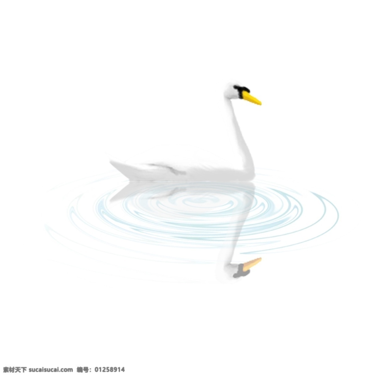 简约 手绘 白色 鹅 透明 动物 免抠元素 透明素材 装饰元素