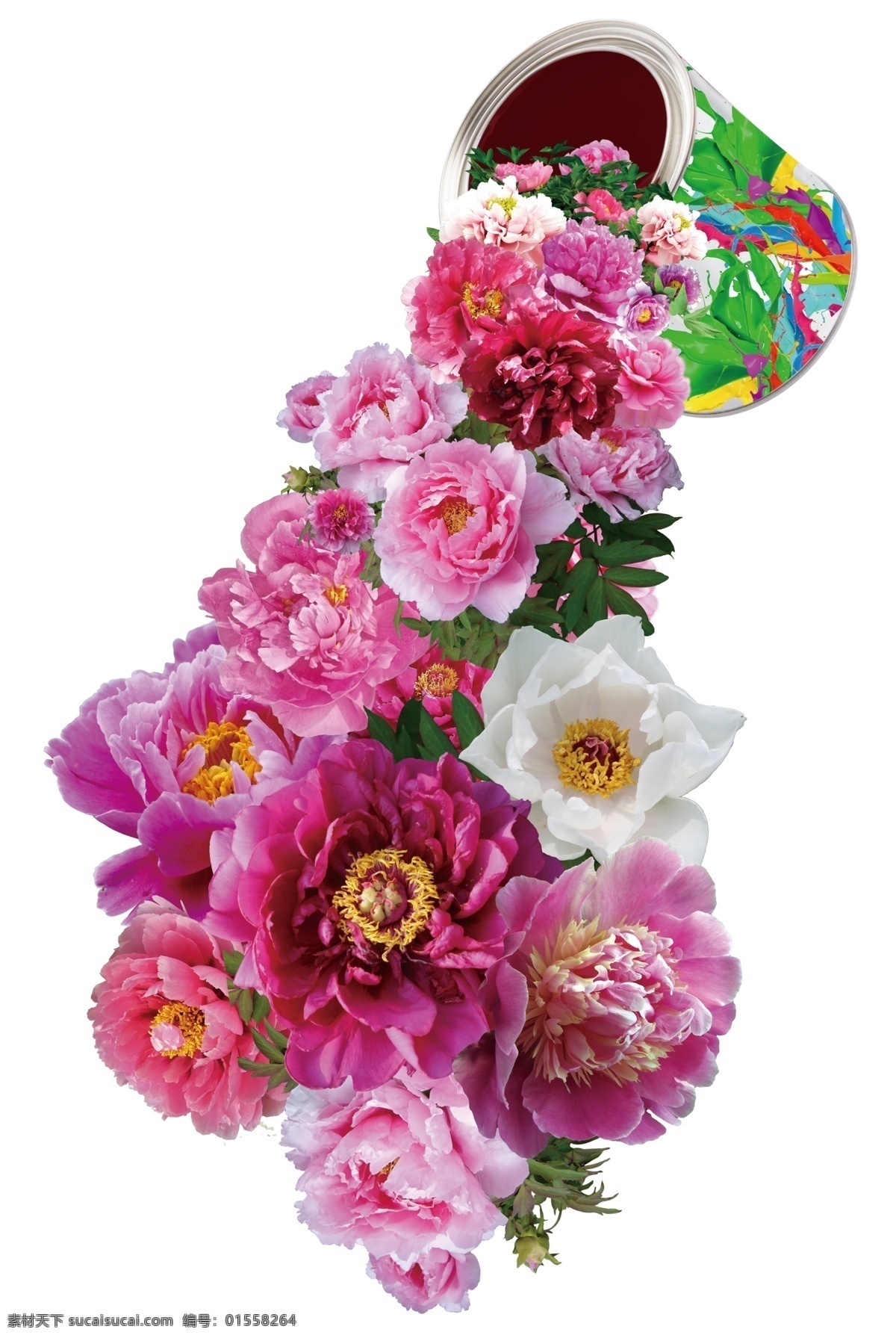 泼花效果 鲜花 油桶 泼花 白色