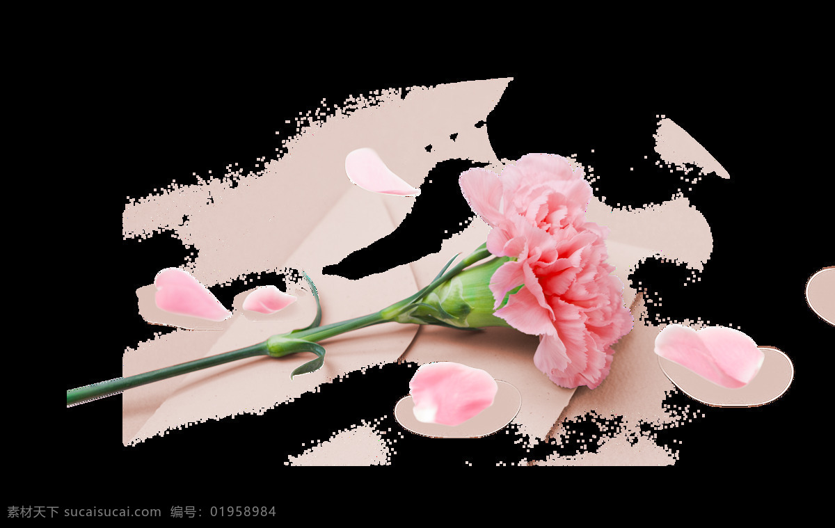 粉色 康乃馨 装饰 花朵 花瓣 叶子 父亲节 母亲节 节日 质感 大气