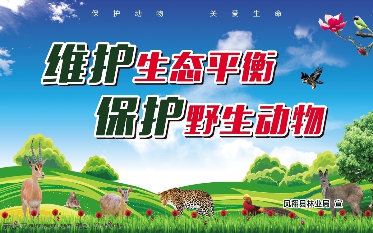 维护生态平衡 保护野生动物 动物世界 蓝天白云 背景 分层