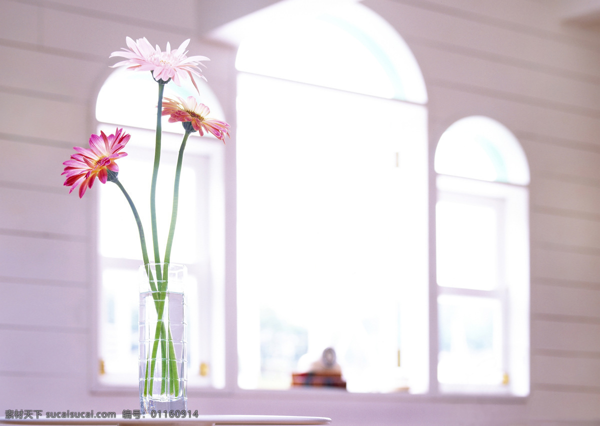 花瓶 里 娇艳 花朵 室内摄影 静物摄影 摄影素材 淡雅 生活百科 静物 家居生活 家居 植物 室内设计 环境家居