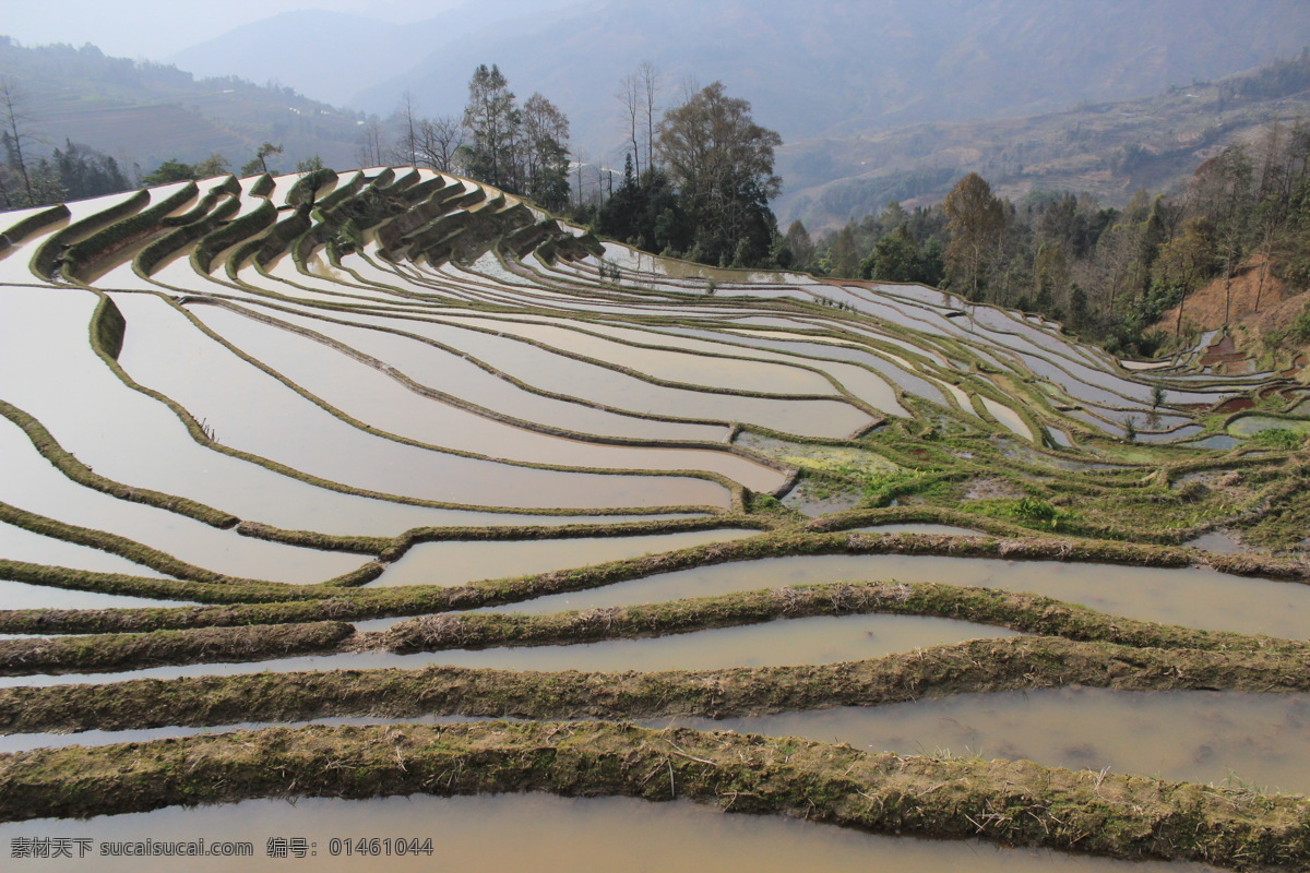 云南梯田 梯田 元阳梯田 哈尼梯田 梯田风景 梯田风光 云南风景 云南风光 自然景观 田园风光