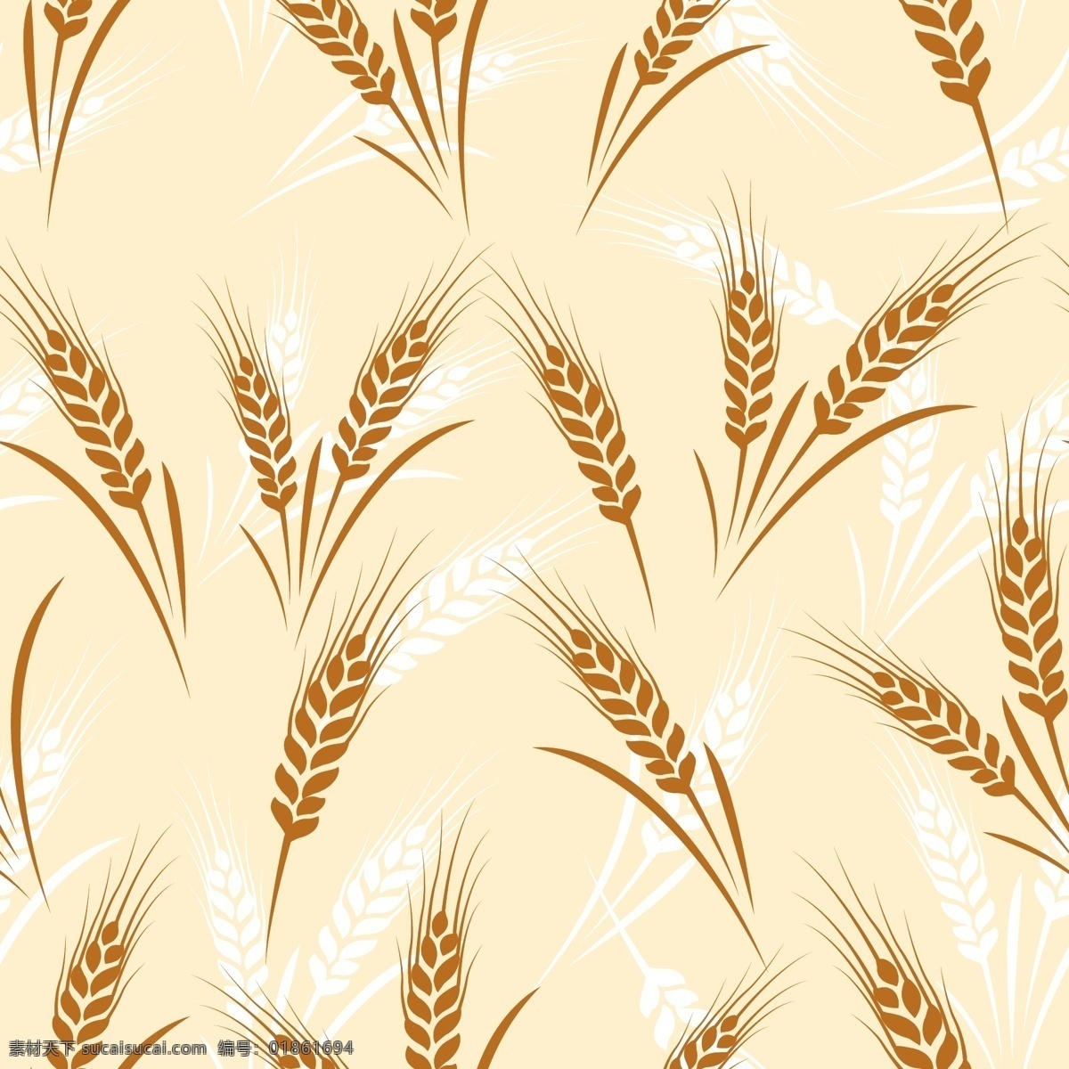 小麦 麦穗 麦子 粮食 农作物 食物 麦田 谷物 餐饮美食 生活百科