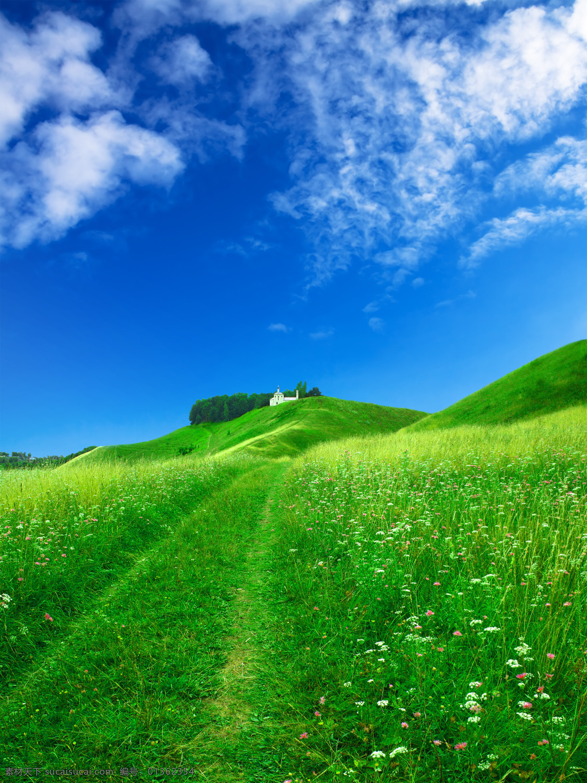 蓝天 绿 草 高空 蓝天绿草 绿草地 风景 生活 旅游餐饮