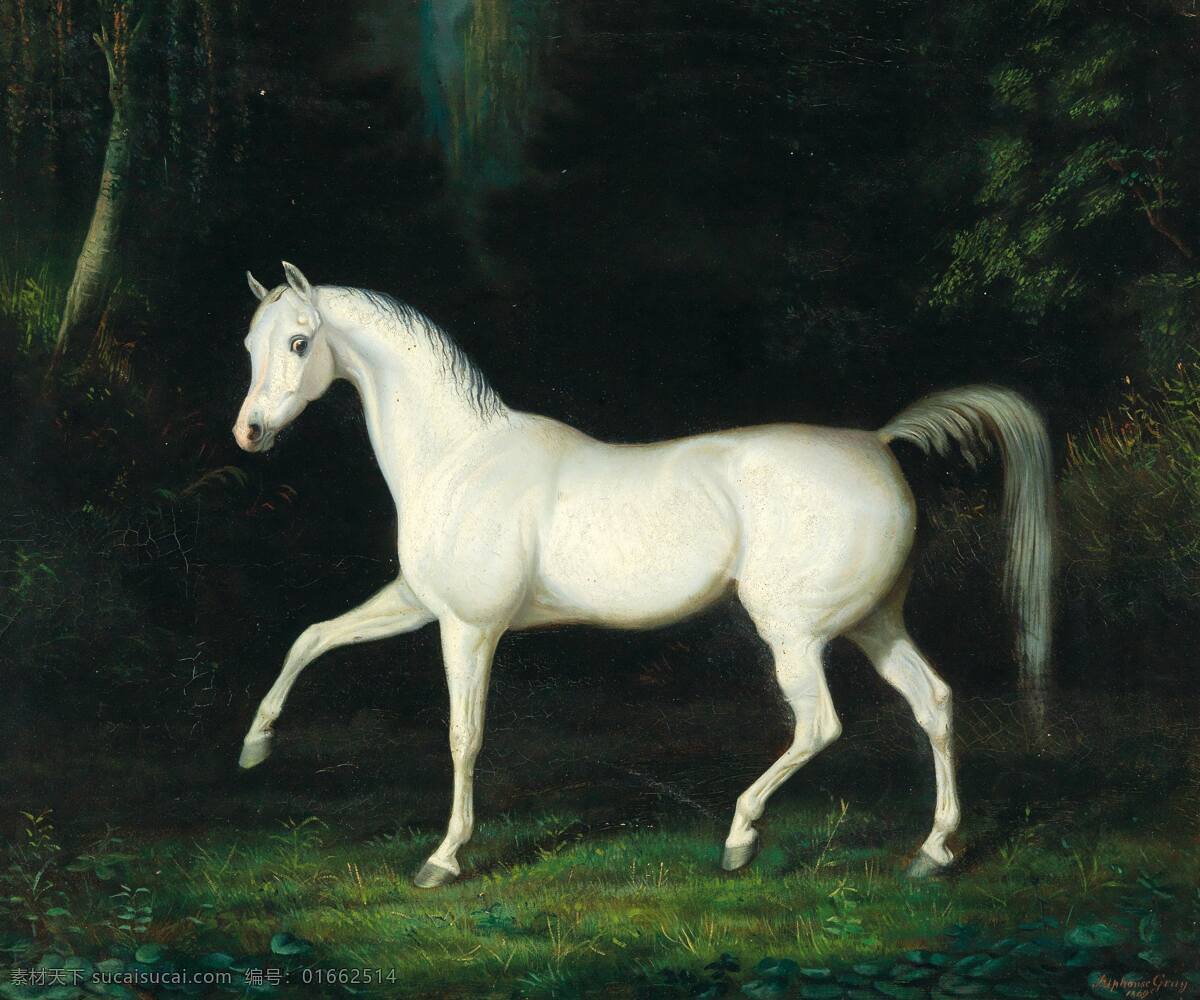 阿尔 封 斯 格雷作品 森林中 一匹白马 悠闲 踱步 19世纪油画 油画 文化艺术 绘画书法