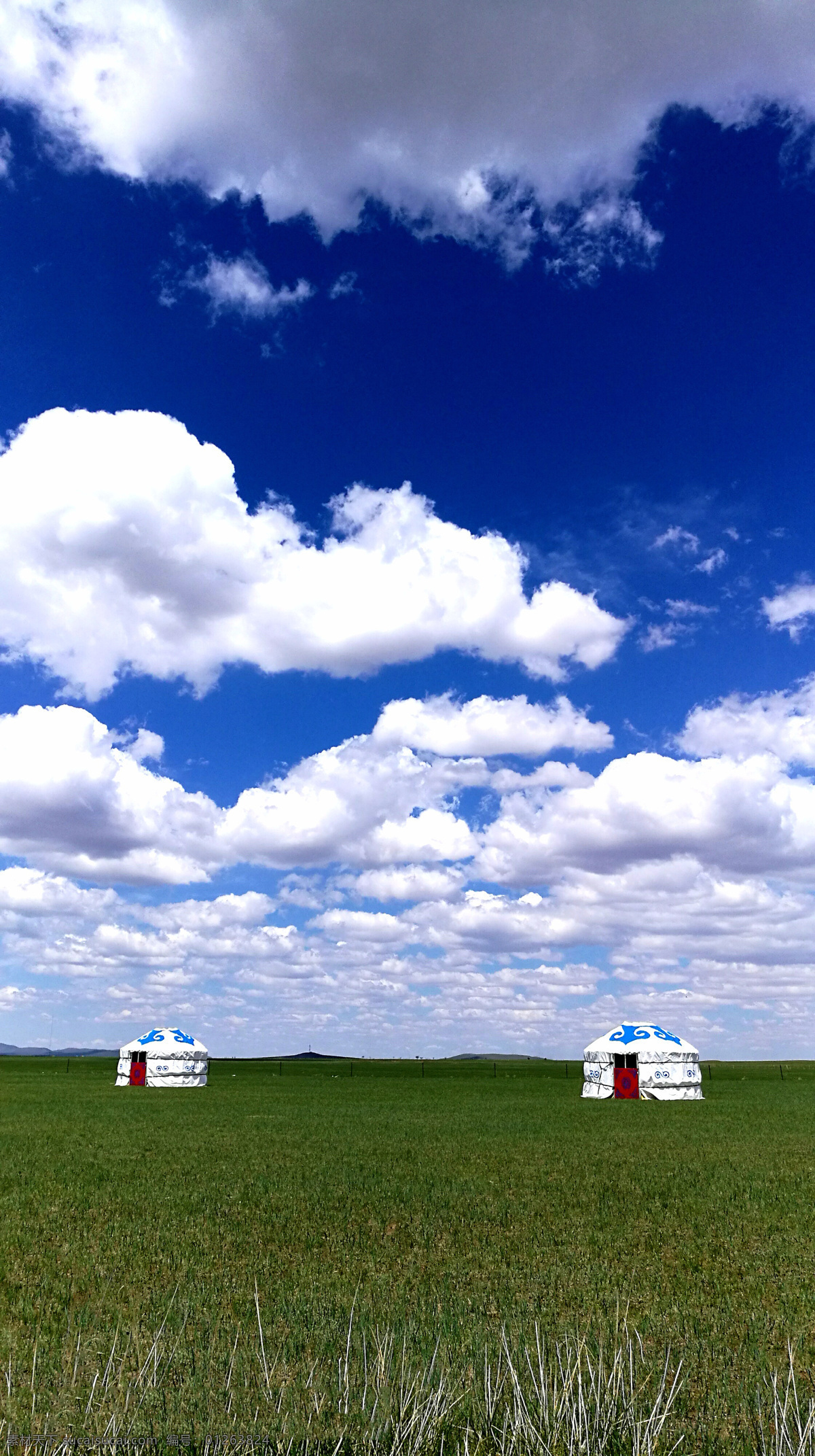 内蒙古 赤峰 草原 克什克腾旗 贡格尔 自然景观 自然风景