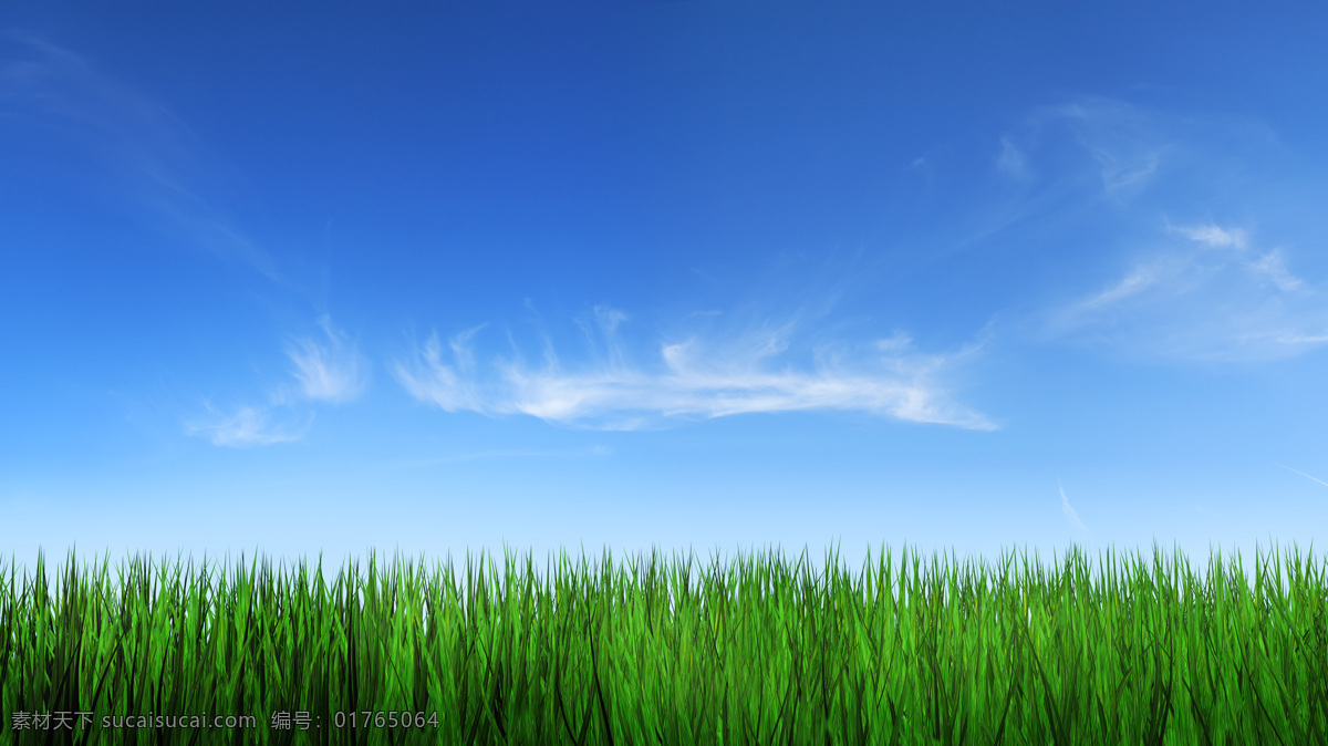 草地 天空 精品 实用 精美图片 印刷 适用 高清 创意 风景 自然风光 解压 密码 cn 生活 旅游餐饮