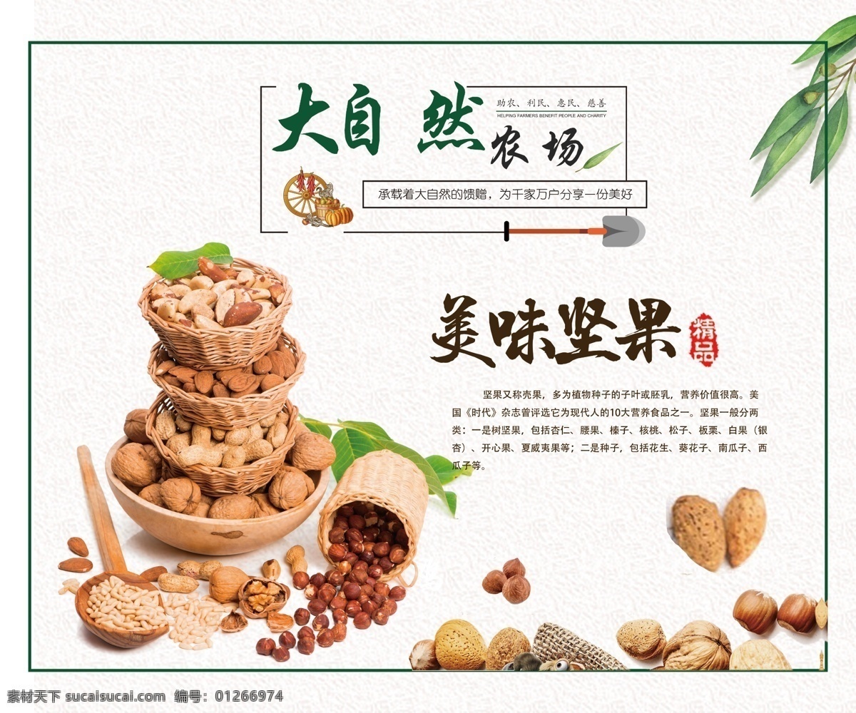美味坚果海报 美味坚果 坚果海报 中国风 粮食 海报