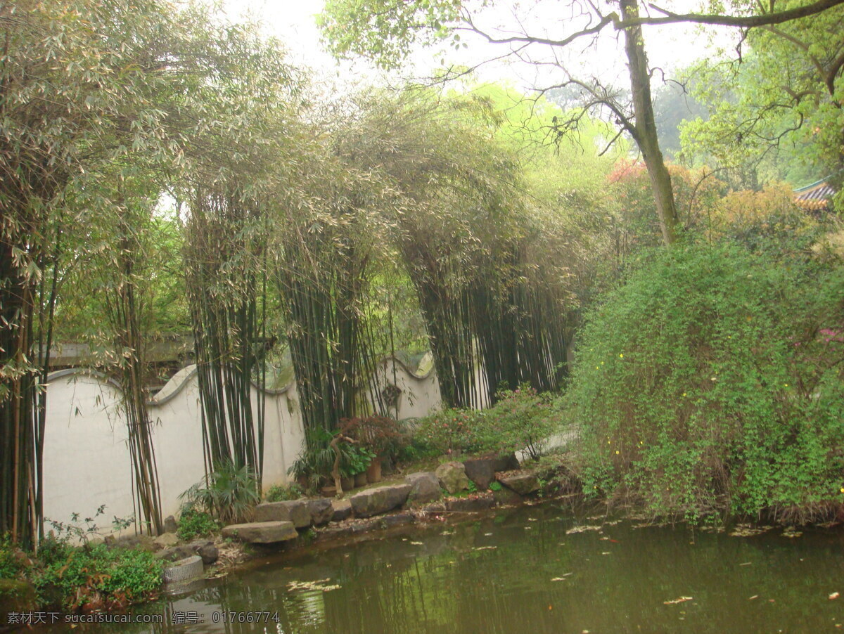 垂柳 风景画 国内旅游 旅游摄影 池塘边 家居装饰素材 山水风景画