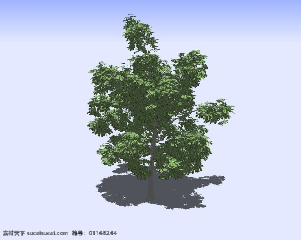 杂树3d模型 树木 树干 树枝 绿叶 三维 立体 skp模型 poss 造型 精模 3d模型精选 其他模型 3d设计模型 源文件 skp