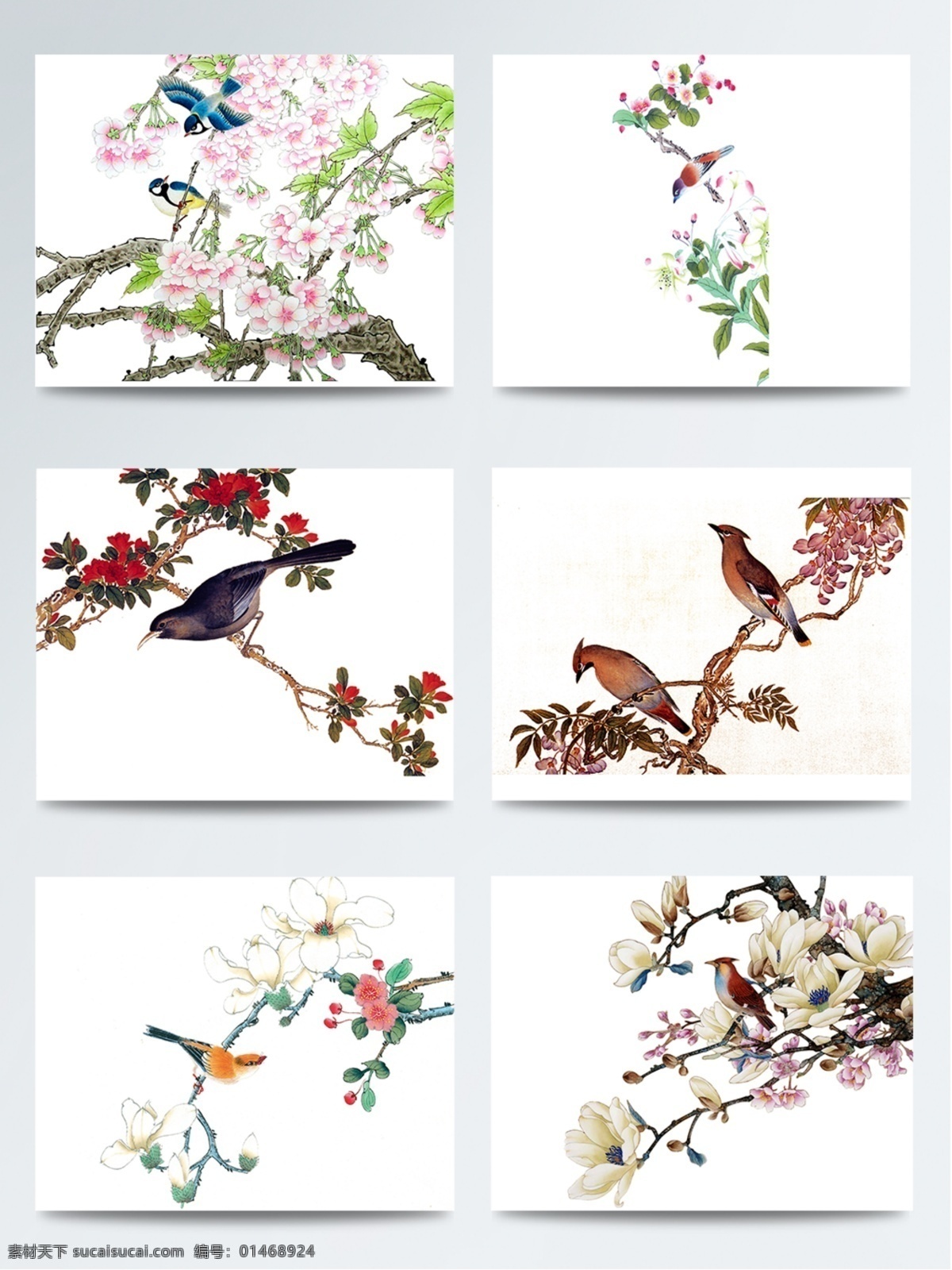 工笔画 桃花 鸟 桃花节 中国画 粉色 桃花季 春季赏花 赏花节 三月赏花 桃花与鸟
