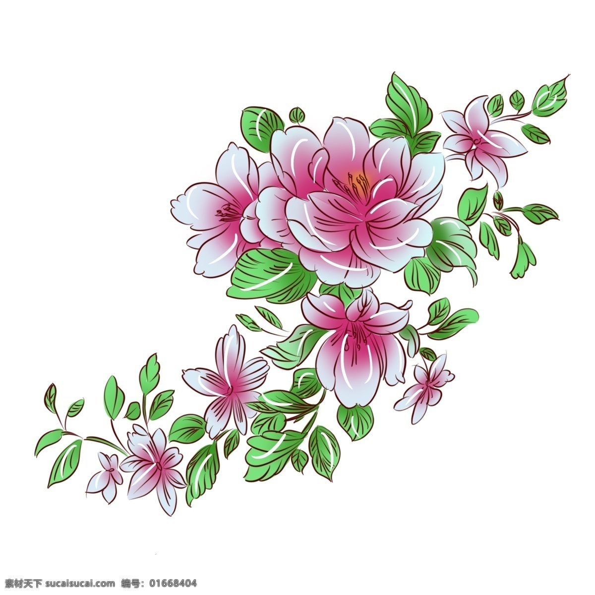 手绘 植物 粉红色 牡丹花 手绘花 手绘植物 手绘牡丹 粉红牡丹