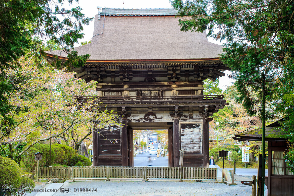 唯美 炫酷 浅草寺 寺庙 风景 风光 旅行 人文 古建筑 日式古建筑 神都洛阳遗风 洛阳遗风 旅游摄影 国外旅游
