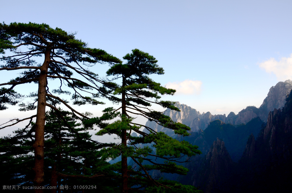 迎客松 黄山 松树 树 松 山崖 悬崖 峭壁 陡峭 黄山迎客松 自然景观 山水风景