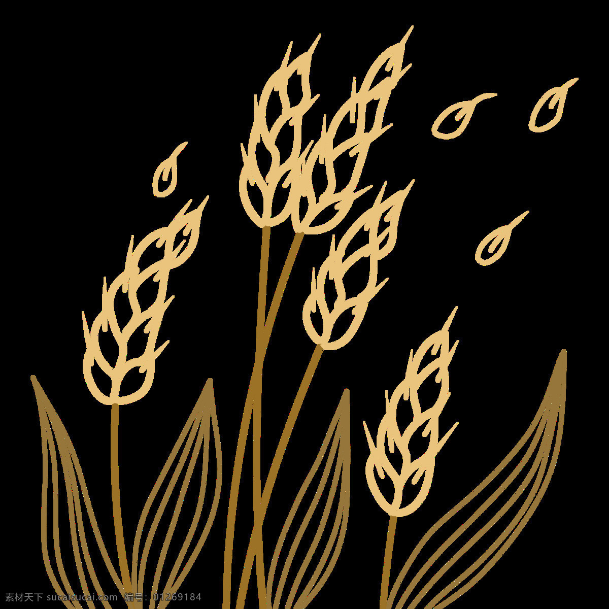 麦子 农作物 小麦 线条 植物 金色