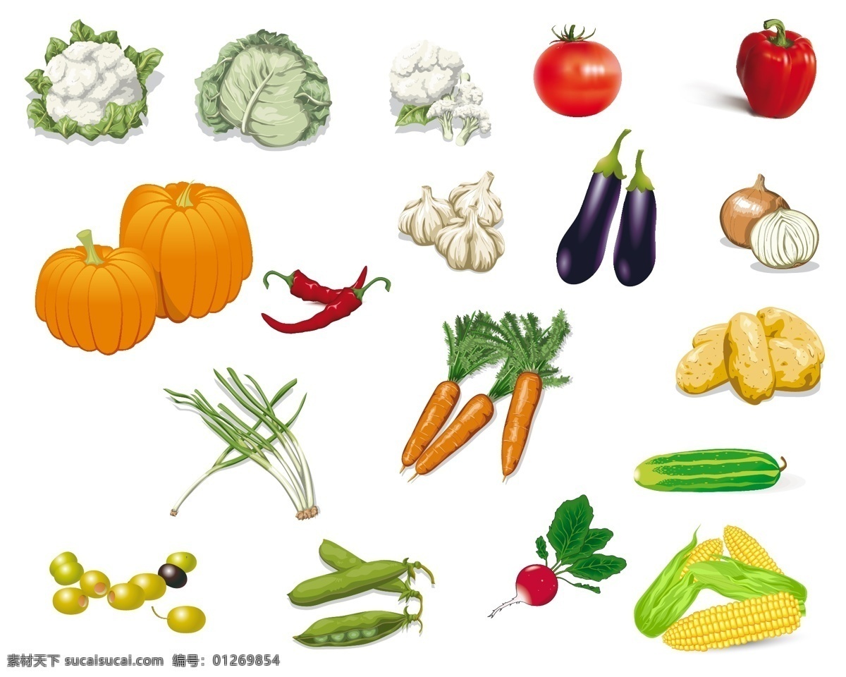 蔬菜 矢量 番茄 辣椒 南瓜 媒介生物学 矢量蔬菜茄子 sweetbell 矢量图 其他矢量图