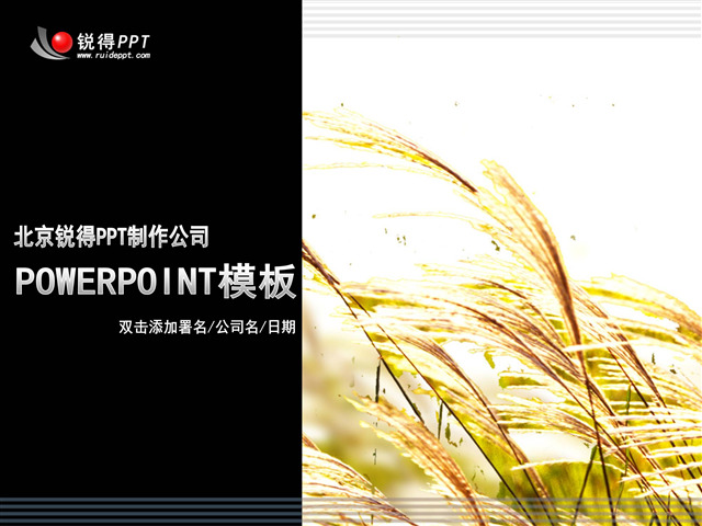 稻谷 模板 ppt模板 农作物ppt 大自然ppt 自然风景