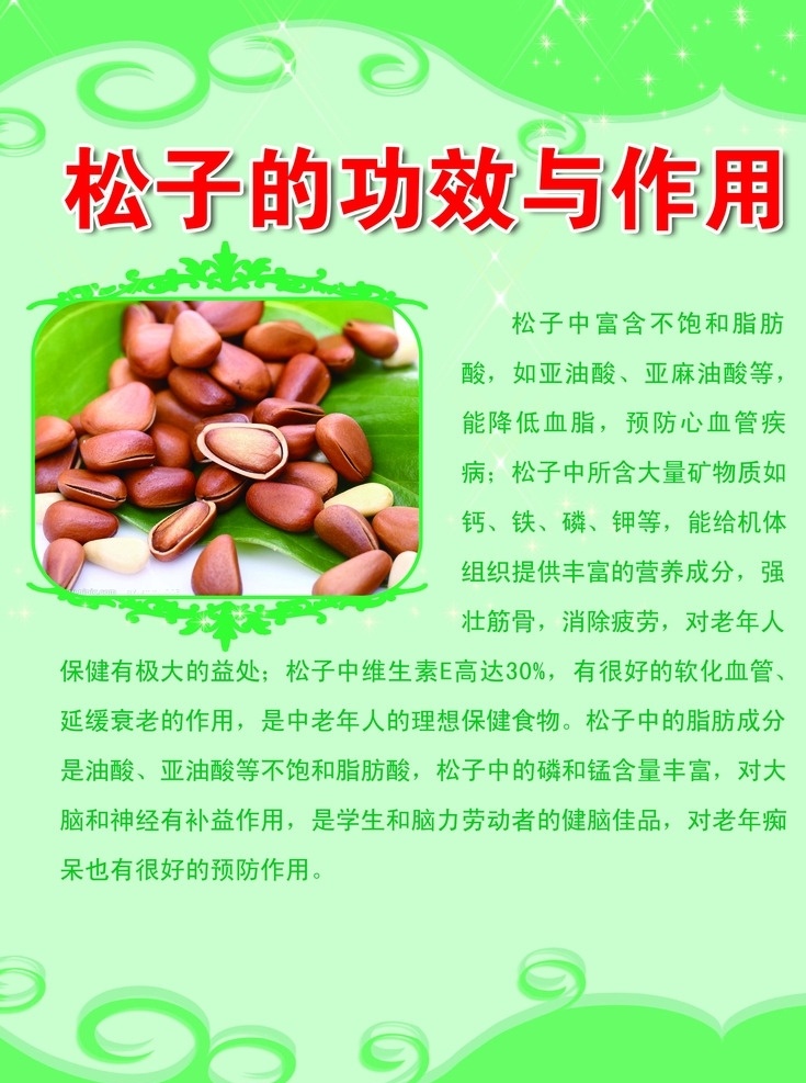 松子 功效 作用 干果 绿底