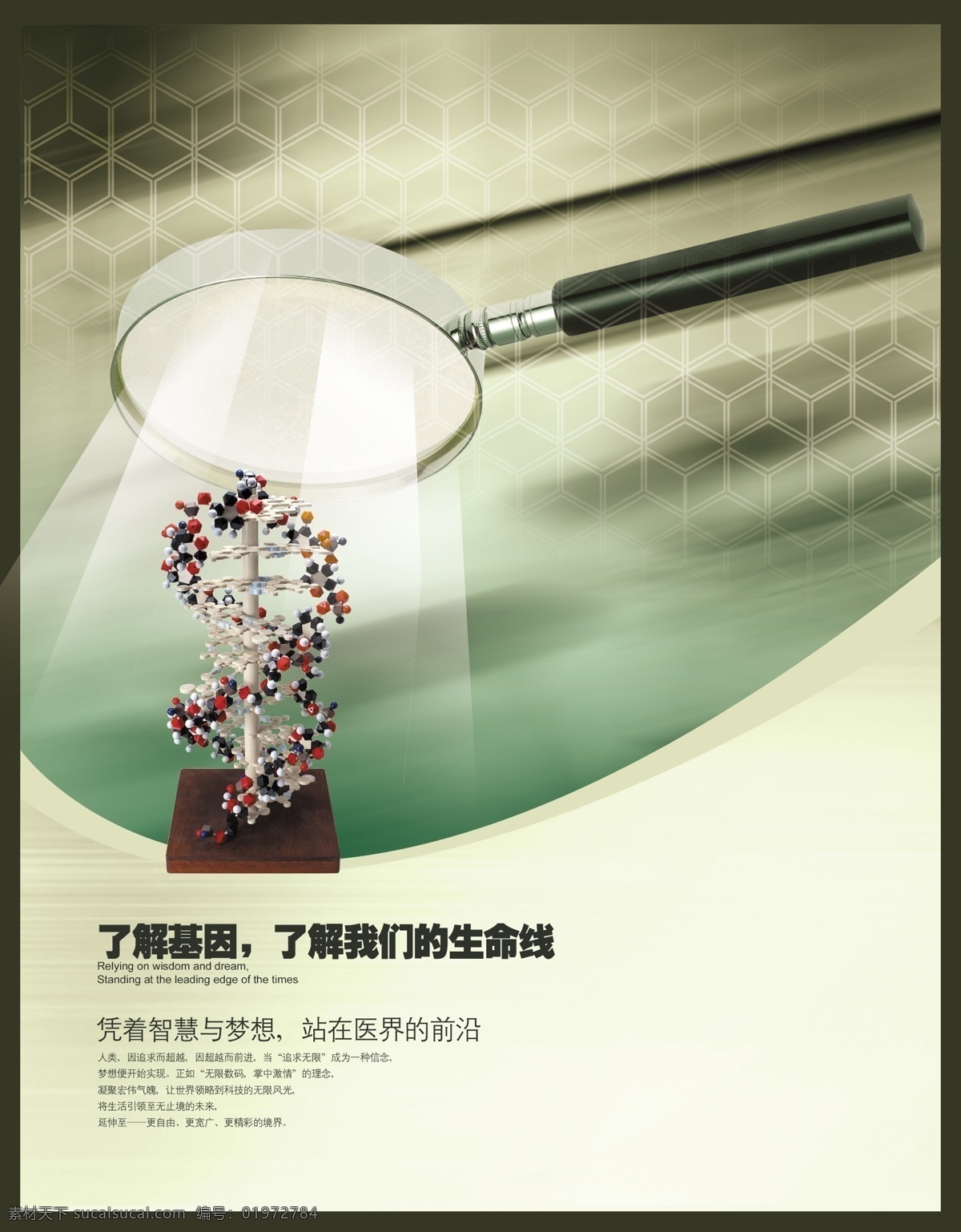 医学广告 医学 广告 dna 放大镜 素净