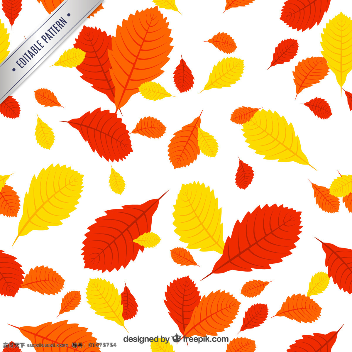 红色 橙色 黄色 树叶 图案 花 自然 叶 秋 橙 秋天 秋天的落叶 季节 九月 十月 针叶 罗恩 白色