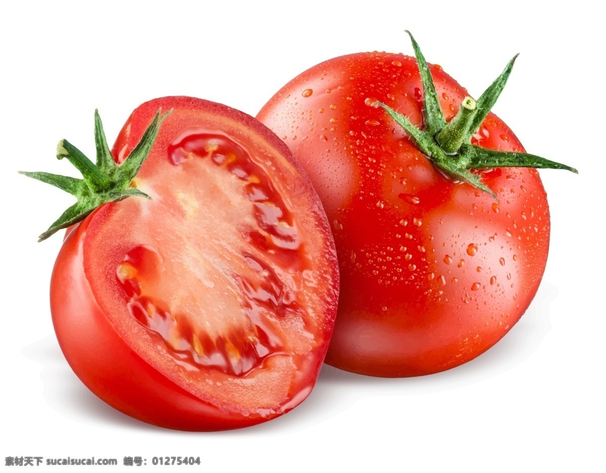 西红柿矢量图 番茄矢量 蔬菜矢量 蔬菜素材 蔬菜