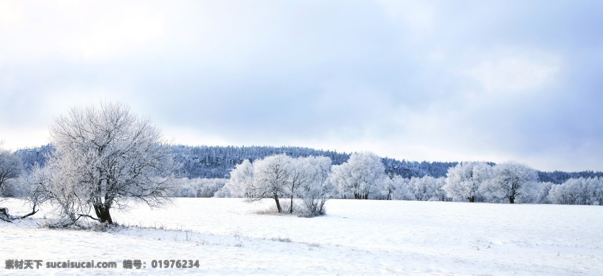 林海雪原 冰天雪地 冰雪世界 雪地 雪国 雾凇 白色 旷野 野外 自然 美丽 雪花 雪山 震撼 冬天冬季 美丽自然 自然风景 自然景观