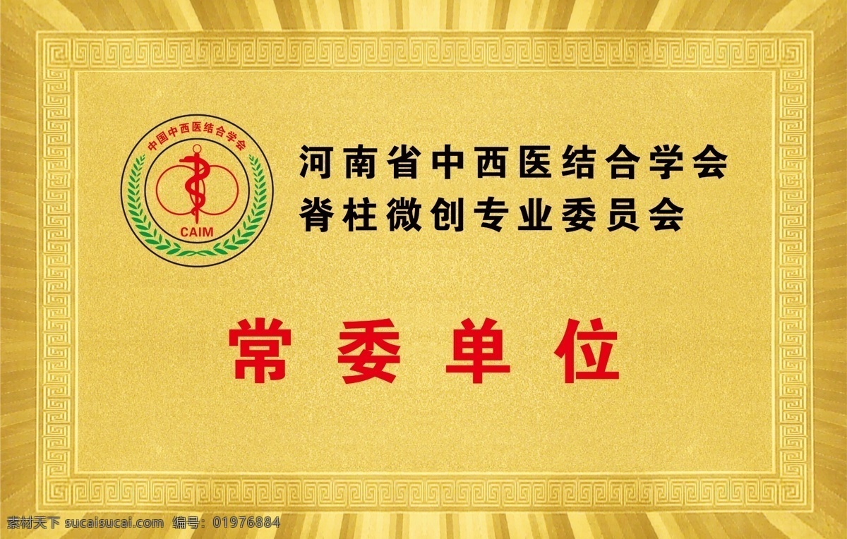 奖牌 河南 中西 学会 脊柱 委员会 展板模板